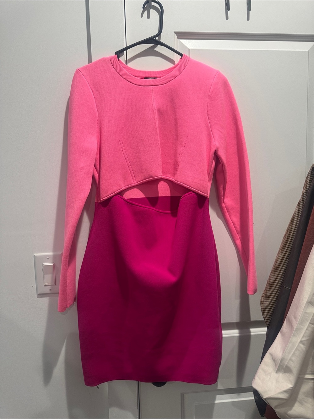 Express Two-Tone Pink Cutout Bodycon Dress